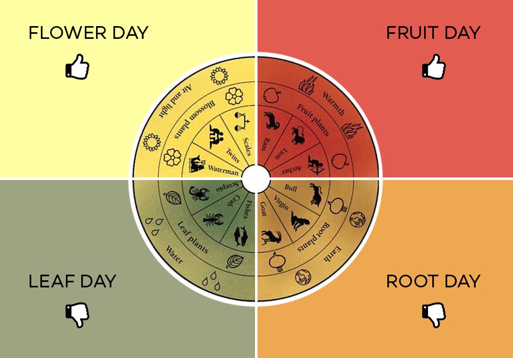 fruit-day-root-day